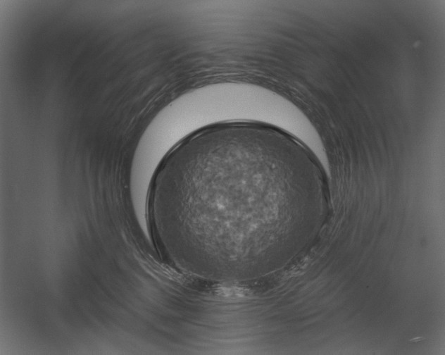 X0000058800376200510031326