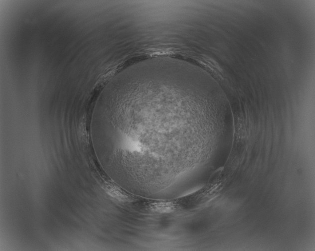 X0000058800377200510031326