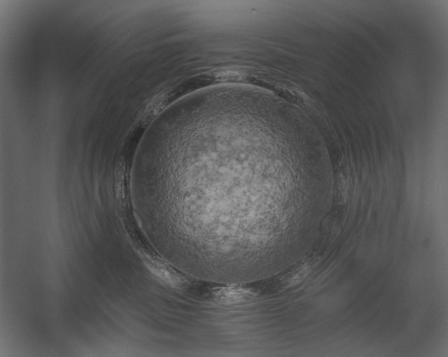 X0000058800379200510031326