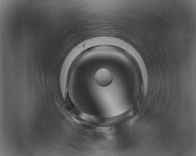 X0000058800380200510031327