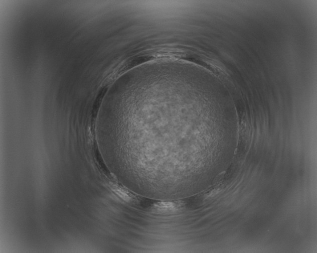 X0000058800381200510031327