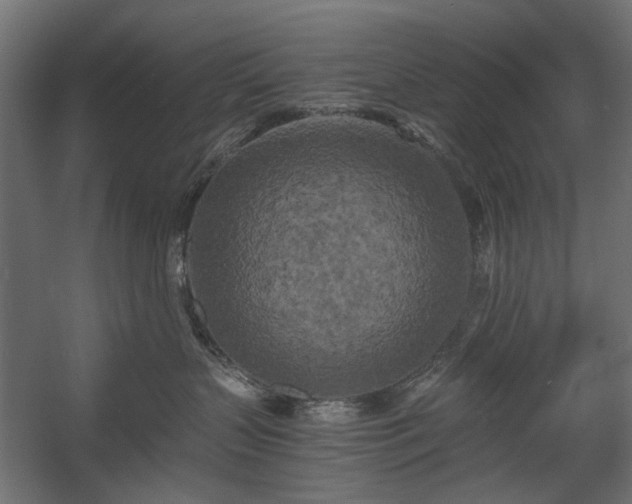 X0000058800383200510031327
