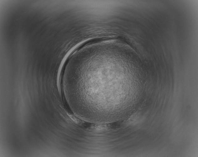 X0000058800384200510031327