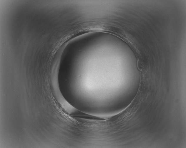 X0000058800385200510031326