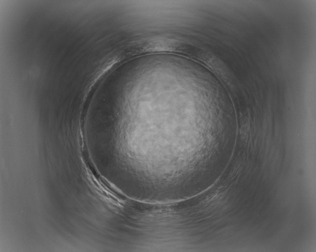 X0000058800386200510031326