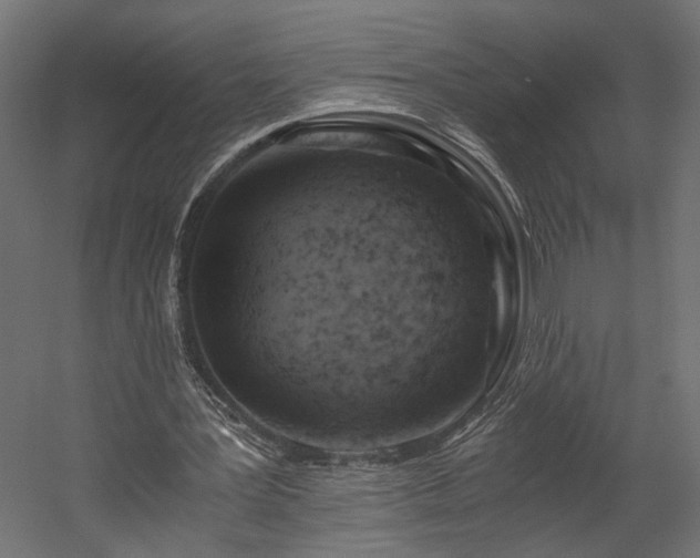 X0000058800387200510031326
