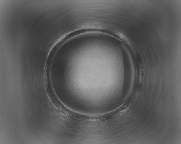 X0000058800388200510031326
