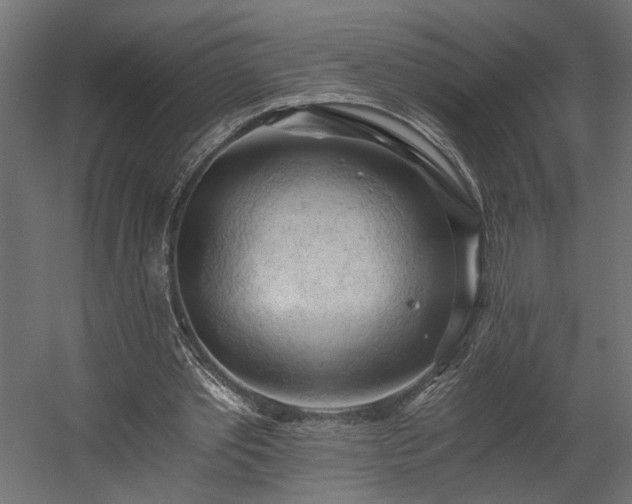 X0000058800389200510031326