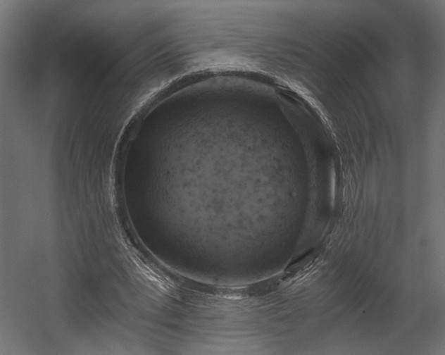 X0000058800391200510031326