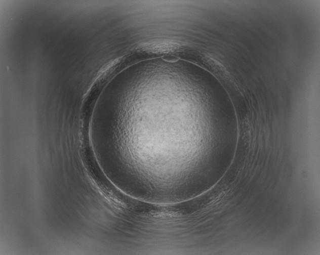 X0000058800400200510031325