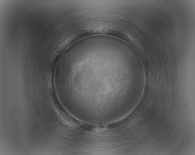 X0000058800403200510031325