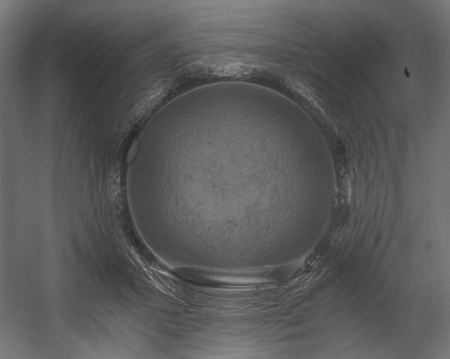 X0000058800407200510031325