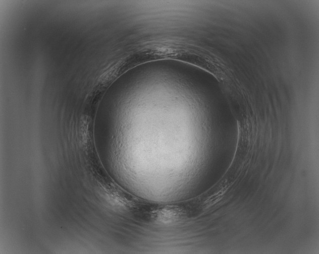 X0000058800412200510031325
