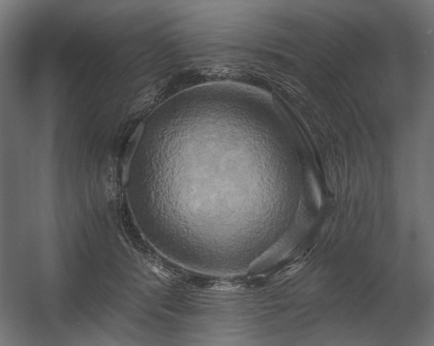 X0000058800416200510031325