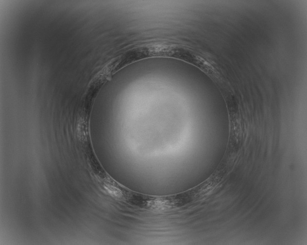 X0000058800419200510031325