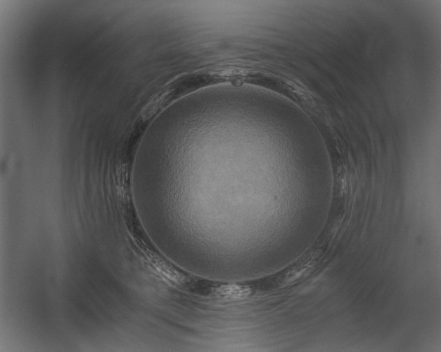 X0000058800421200510031325