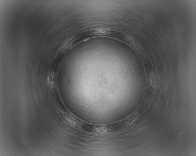 X0000058800423200510031325