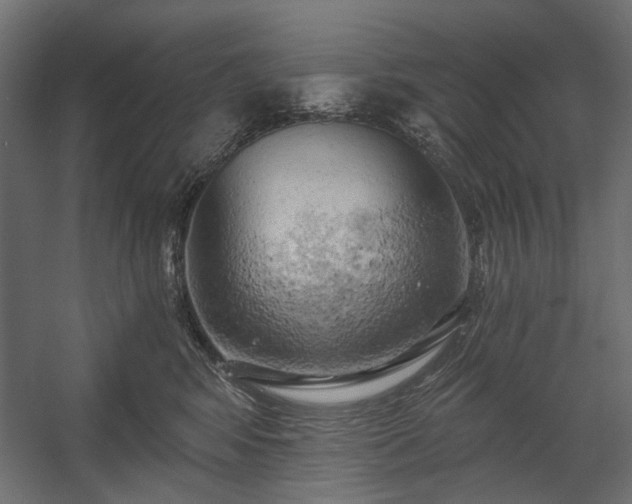 X0000058800424200510031325