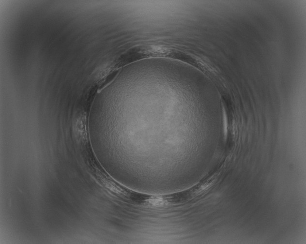 X0000058800425200510031325