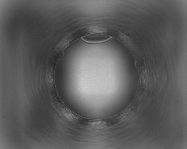 X0000058800426200510031325
