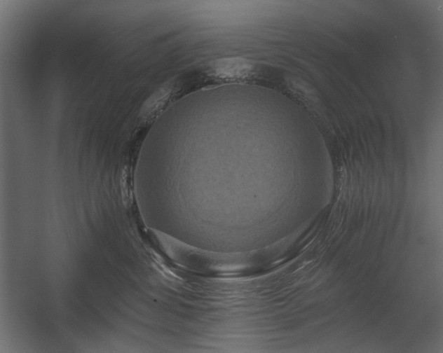 X0000058800428200510031325