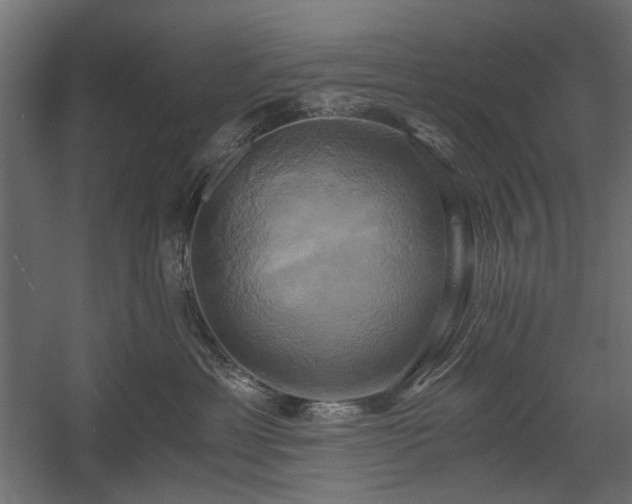 X0000058800429200510031325