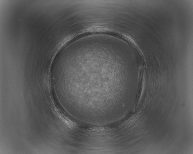 X0000058800439200510031324