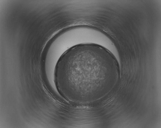 X0000058800440200510031324