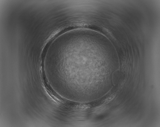 X0000058800443200510031324