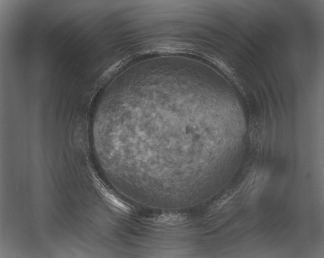 X0000058800445200510031324