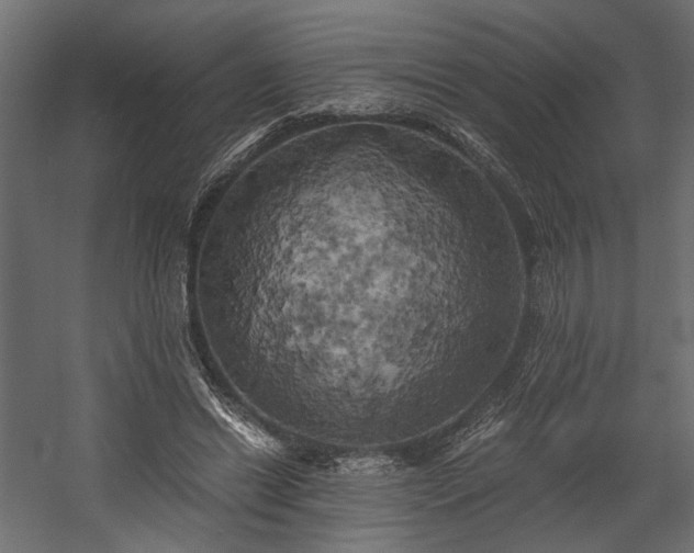 X0000058800446200510031324