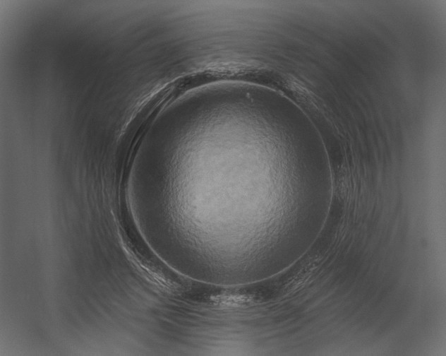 X0000058800448200510031324