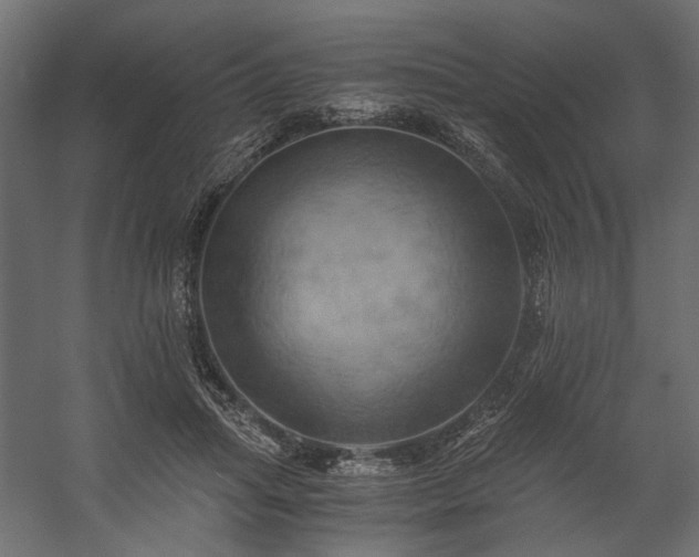 X0000058800455200510031324