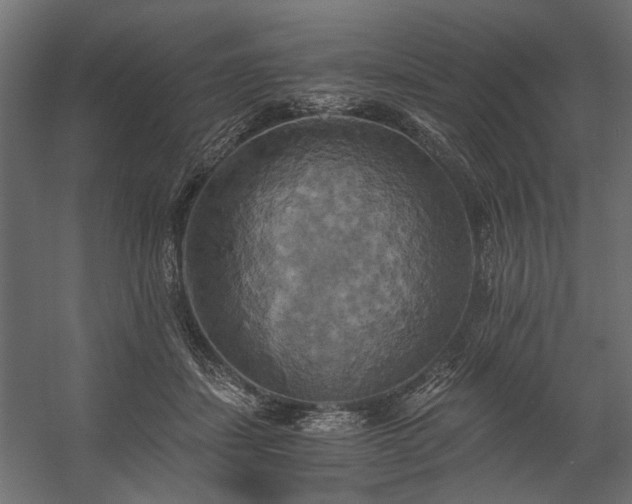 X0000058800459200510031325