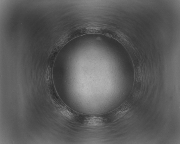 X0000058800463200510031325