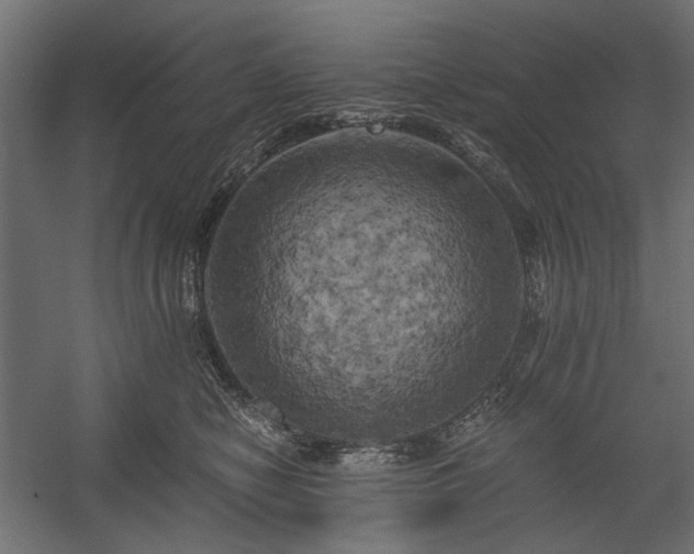 X0000058800470200510031325