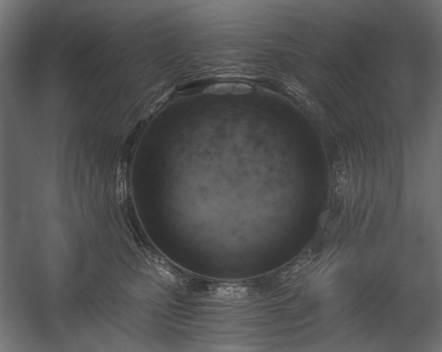 X0000058800471200510031325