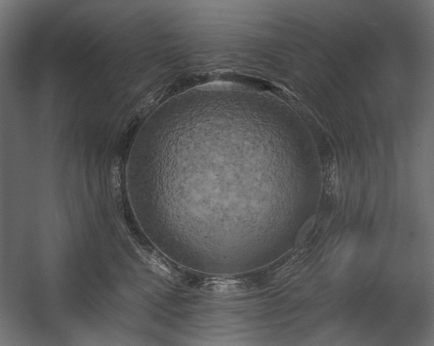 X0000058800472200510031325