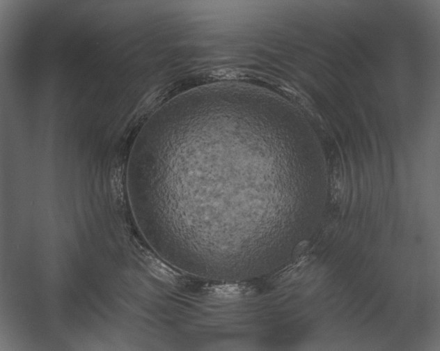 X0000058800473200510031325