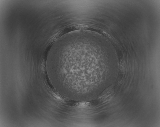X0000058800474200510031325