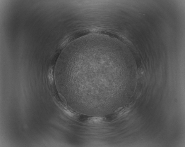 X0000058800479200510031325