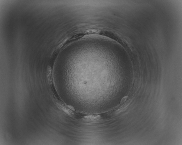 X0000058800480200510031325