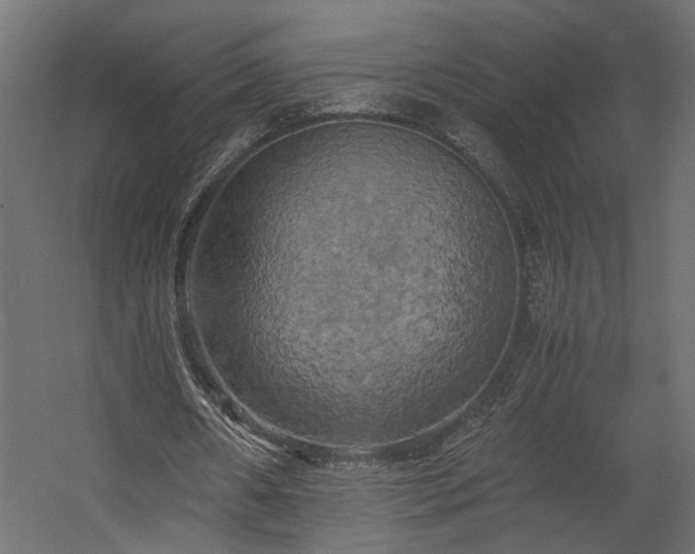 X0000058800482200510031324