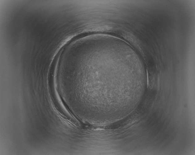 X0000058800483200510031324