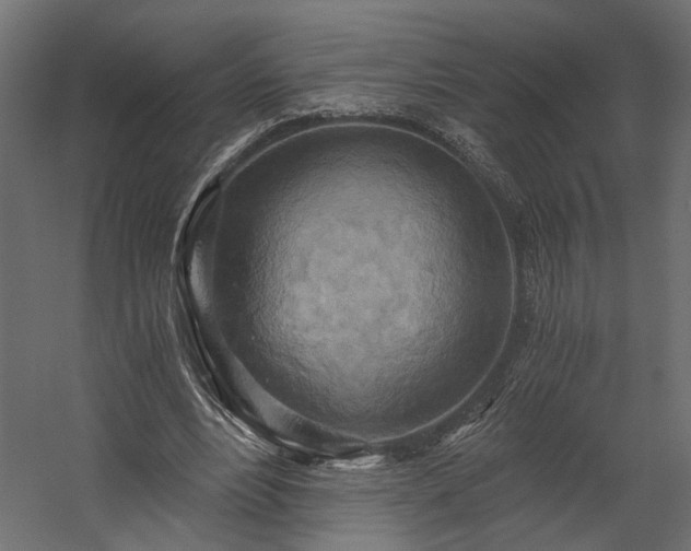 X0000058800488200510031324