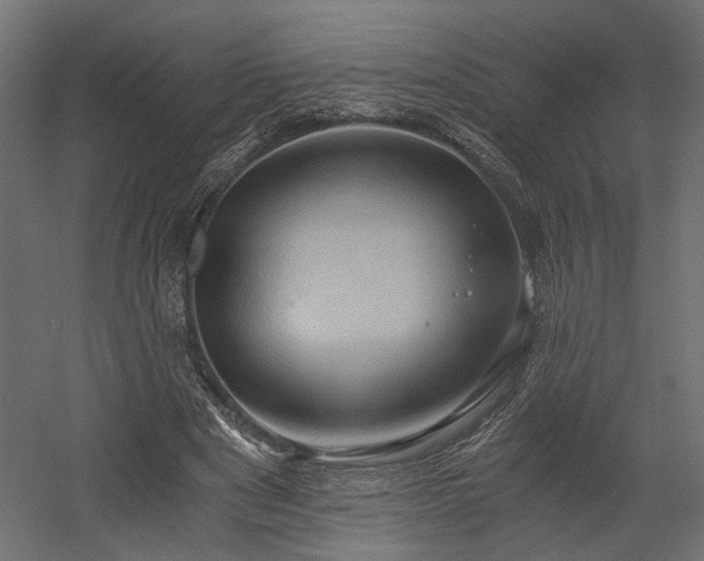 X0000058800489200510031324