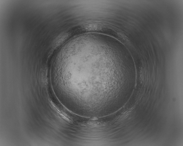 X0000058800490200510031324