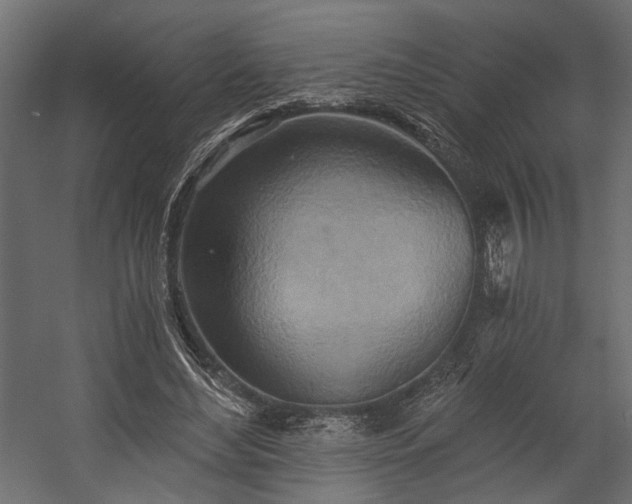 X0000058800492200510031324