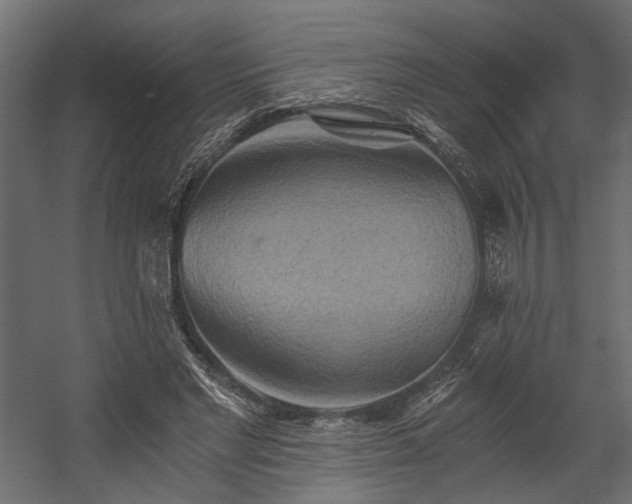 X0000058800493200510031324