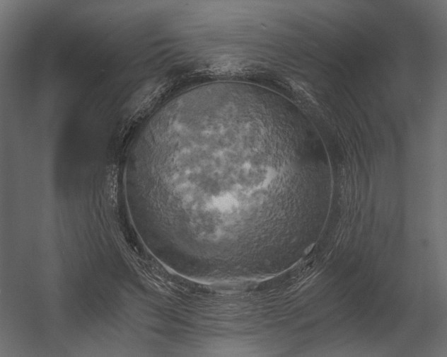 X0000058800495200510031324